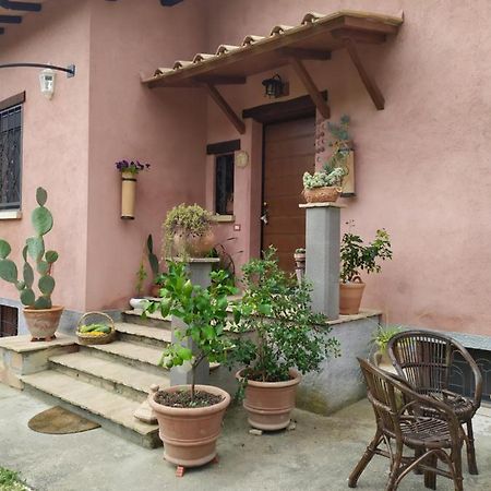 Torri in SabinaCasa Nupa公寓 外观 照片