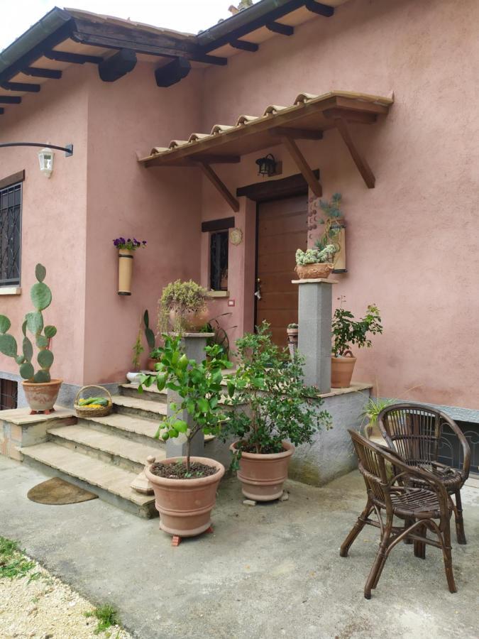 Torri in SabinaCasa Nupa公寓 外观 照片